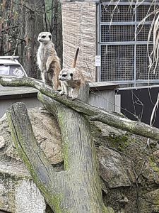 Projektový den v Zoo Na Hrádečku